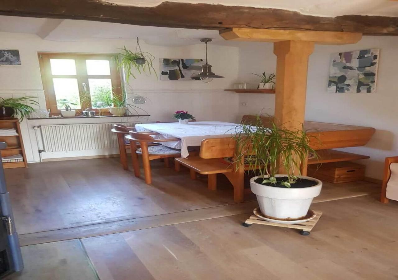 Aeltestes Haus In Quentel - Ferienwohnung 1 Mit Kleinem Garten Lichtenau المظهر الخارجي الصورة