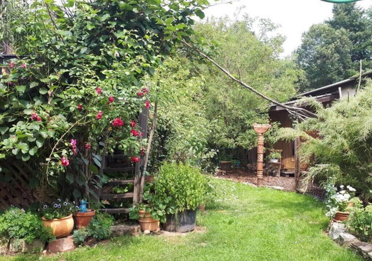 Aeltestes Haus In Quentel - Ferienwohnung 1 Mit Kleinem Garten Lichtenau المظهر الخارجي الصورة